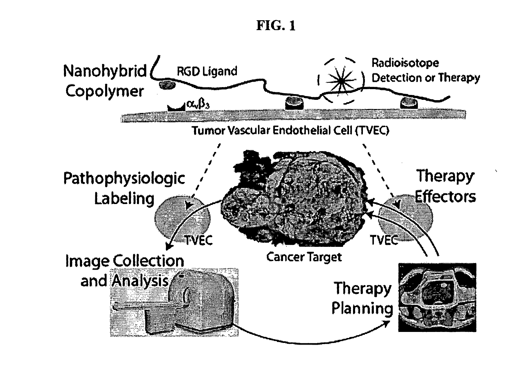 Radiolabeled Nanohybrids Targeting Solid Tumor Neovasculature and Method of Using Same