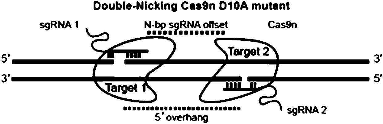 GRNA, expression vector, knockout system and kit for knocking out CXCR4 gene