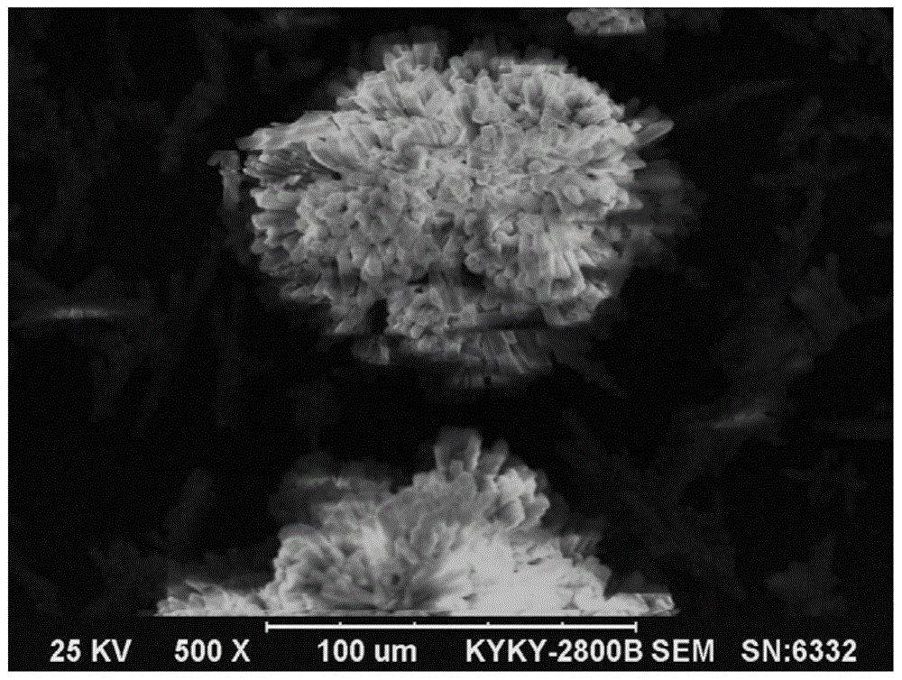 Cobalt powder and preparation method thereof, cobalt oxalate precursor and preparation method thereof