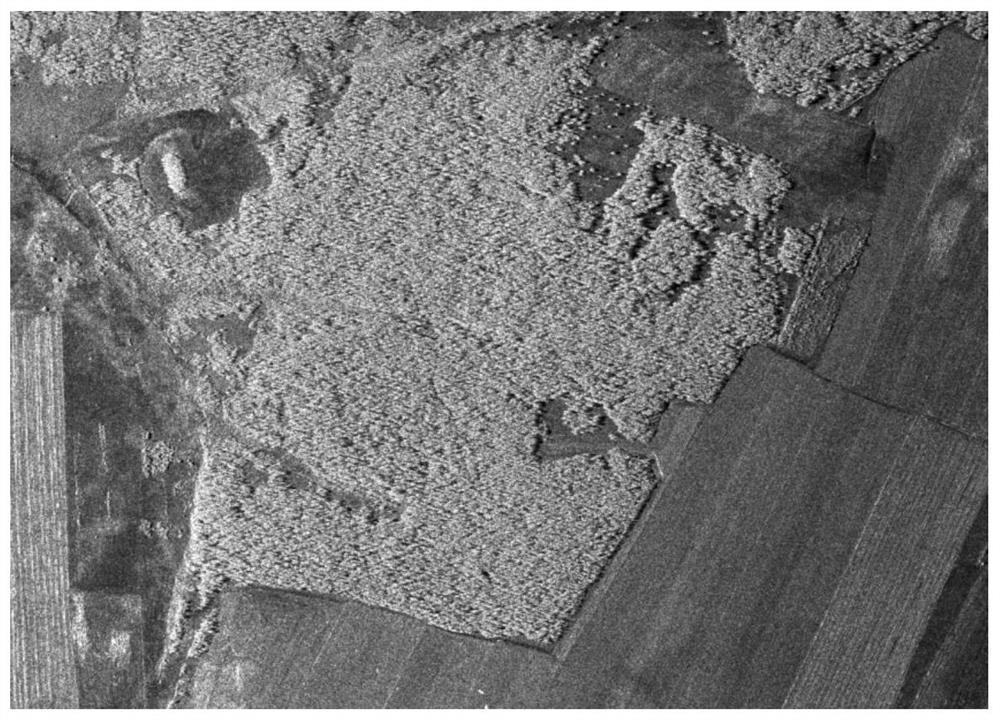 A short-wavelength dual-antenna insar forest height retrieval method with improved coherence calculation method