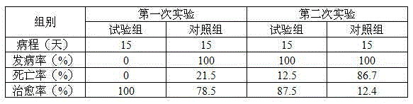 Antiviral traditional Chinese medicine for livestock and poultry and preparation method thereof