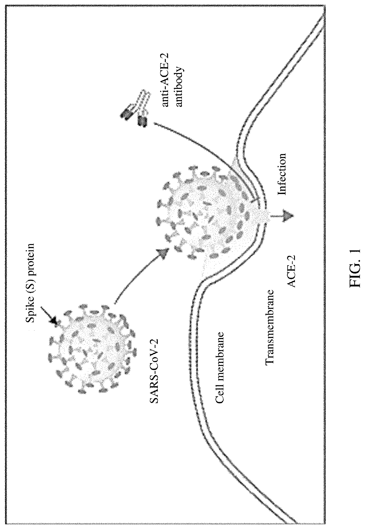 Compositions Comprising Milk Fat Globules and Methods of Making Same