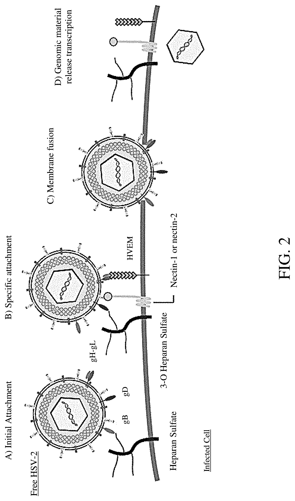 Compositions Comprising Milk Fat Globules and Methods of Making Same