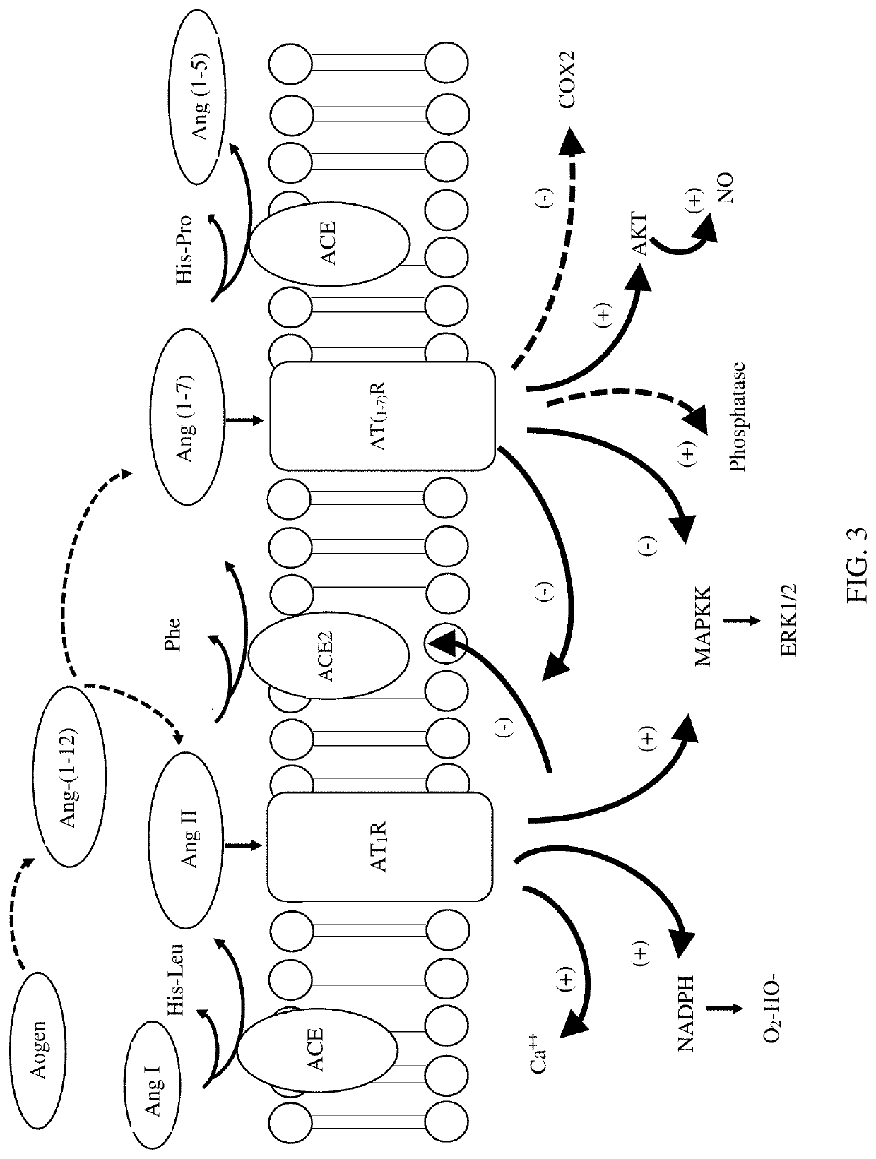 Compositions Comprising Milk Fat Globules and Methods of Making Same