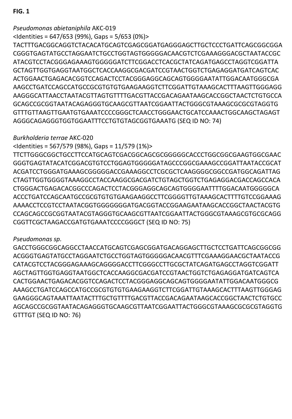 2-deoxy-scyllo-inosose reductase