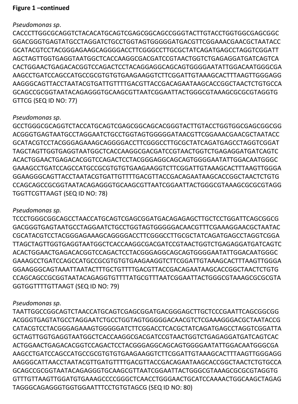 2-deoxy-scyllo-inosose reductase