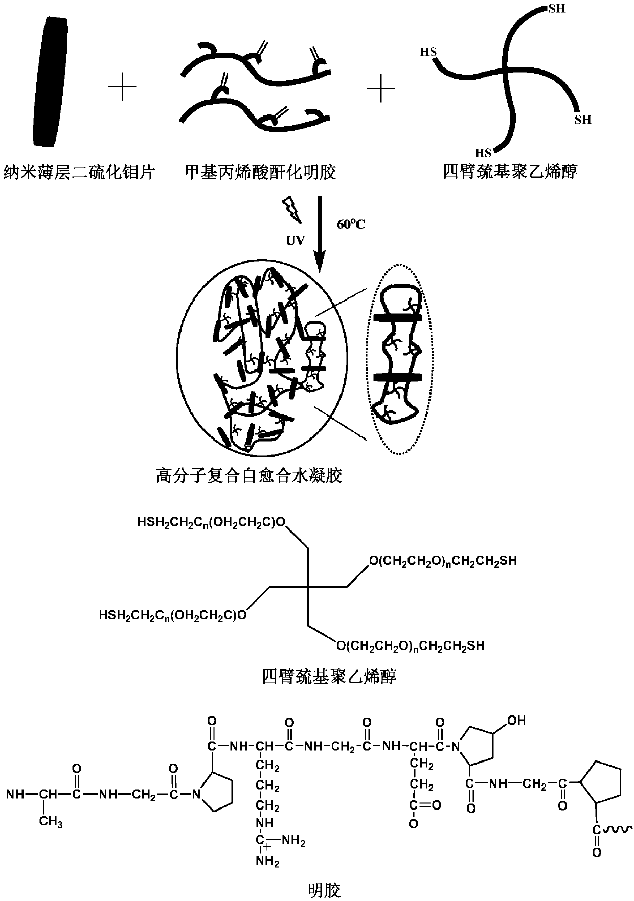 A polymer composite self-healing hydrogel based on nano-thin molybdenum disulfide sheet and its preparation method