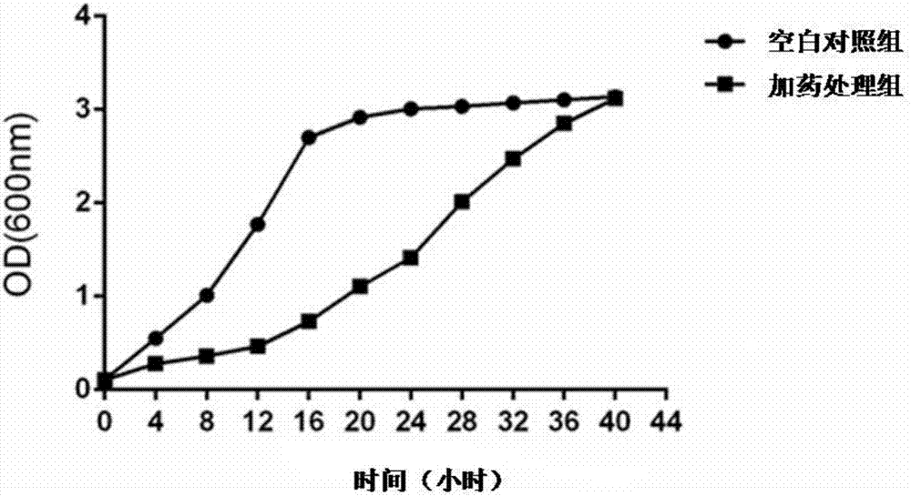 Application of mycophenolic acid compound in preventing and treating culmicolous smut of sugarcane