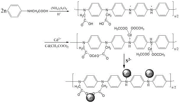 Preparation method of N-substituted carboxyl polyaniline/cadmium sulfide quantum dot composite material