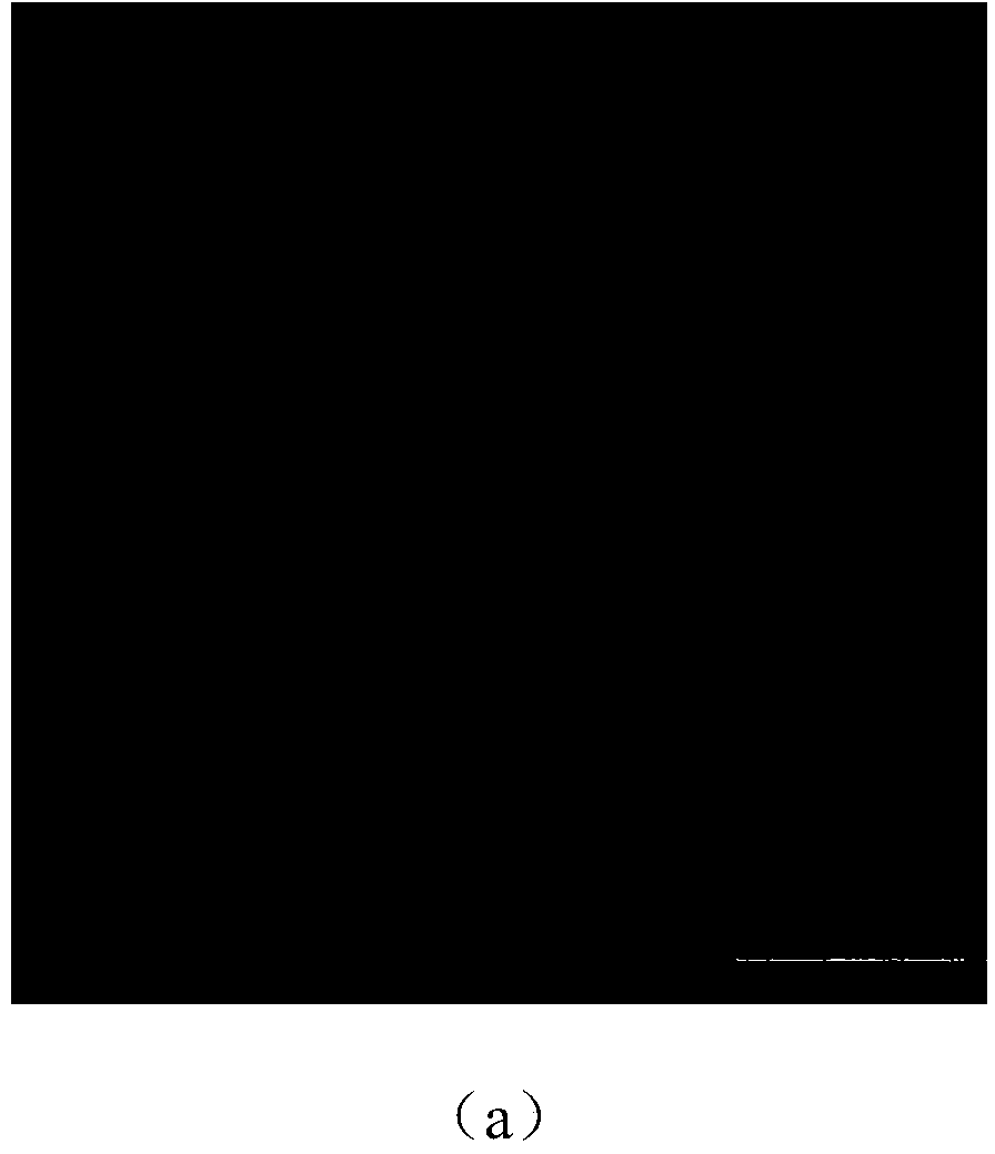 Fluorescent compound and preparation method thereof, as well as method for preparing sensing film by using fluorescent compound and application thereof