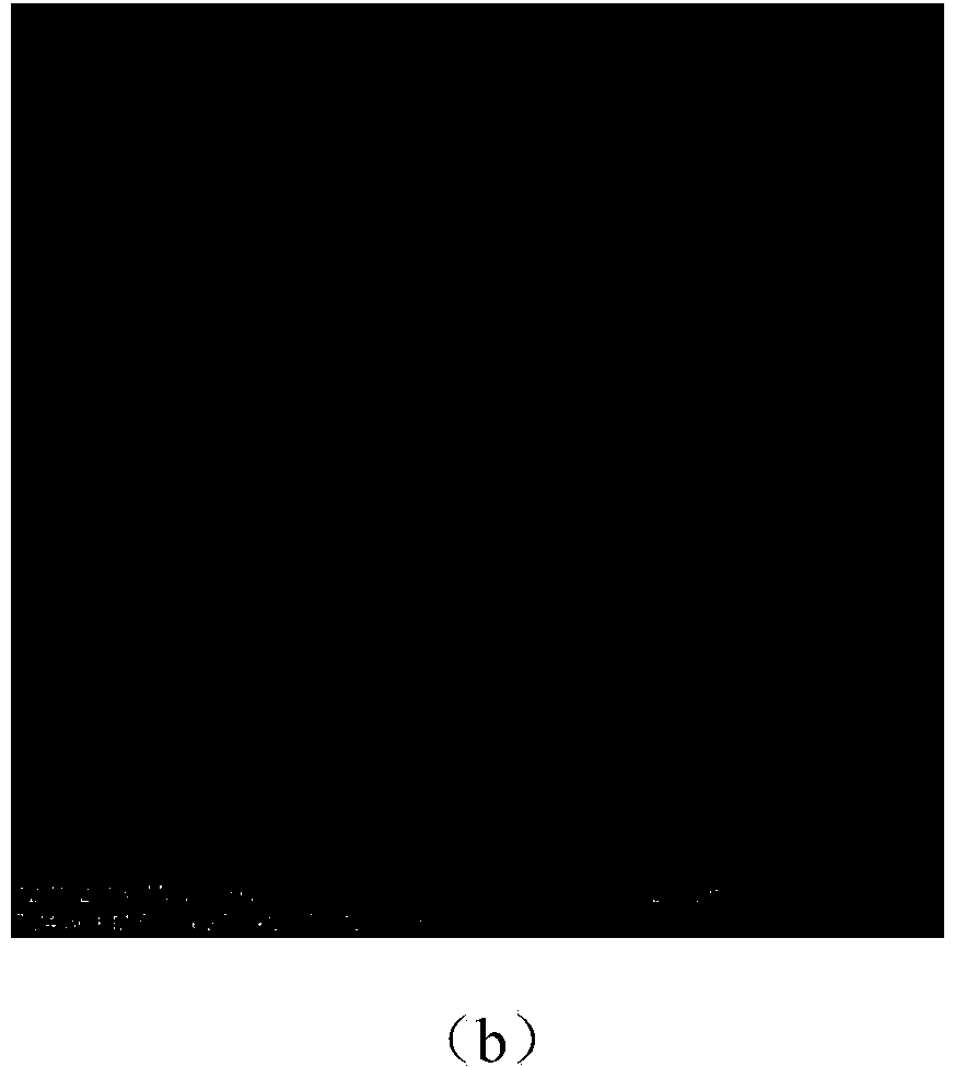 Fluorescent compound and preparation method thereof, as well as method for preparing sensing film by using fluorescent compound and application thereof