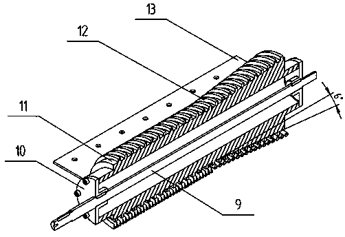 A kind of cutting and rolling type Sapindus peeling machine