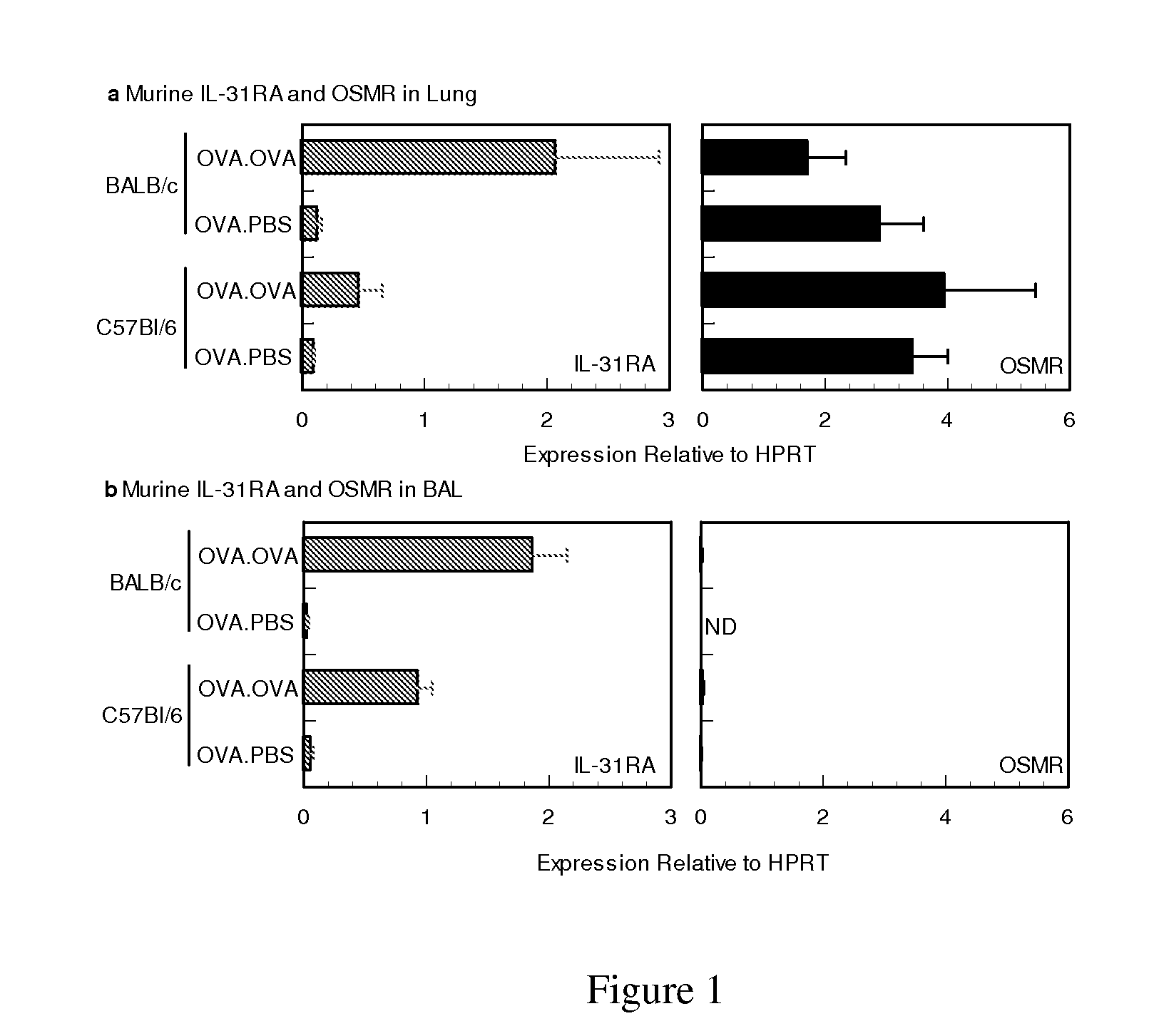 Methods of using il-31 to treat airway hyper-responsiveness and asthma