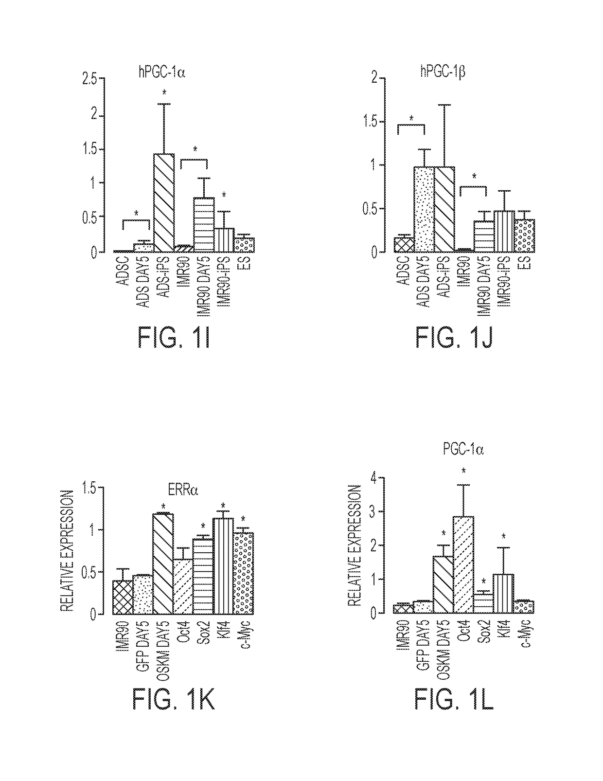 Reprogramming progenitor compositions and methods of use therefore