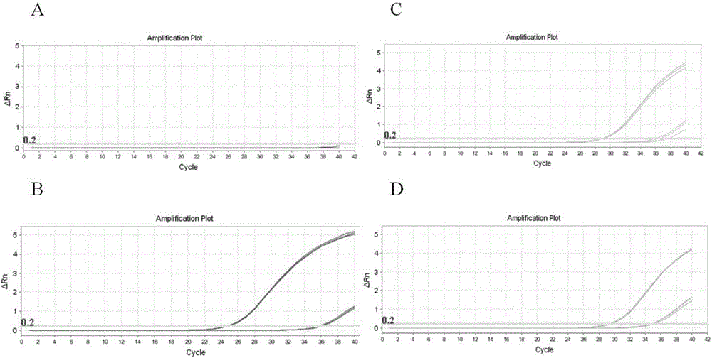 Primer group for detecting EGFR (epidermal growth factorreceptor) gene T790M mutation based on ARMS fluorescent quantitative PCR, and preparation method thereof