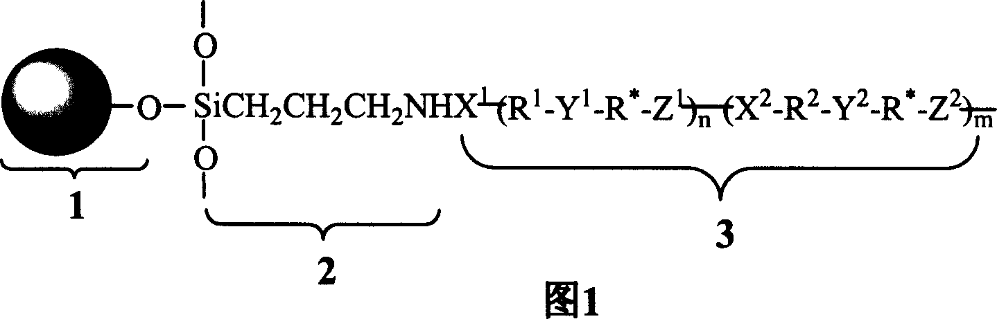 Heterochain polymer chiral stationary phase and process for preparing same