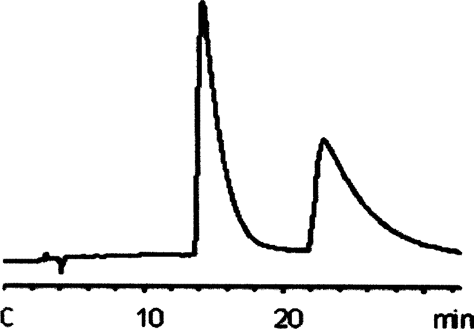 Heterochain polymer chiral stationary phase and process for preparing same