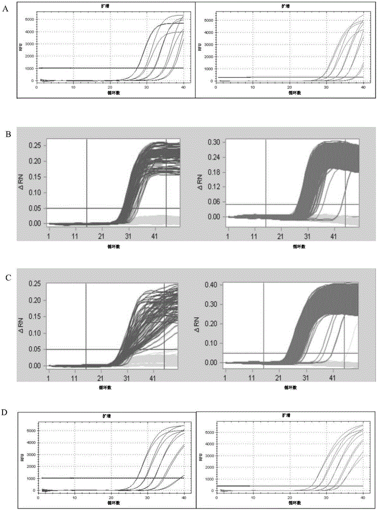 Double digital PCR fluorescent quantitative detection method for transgenic maize NK603