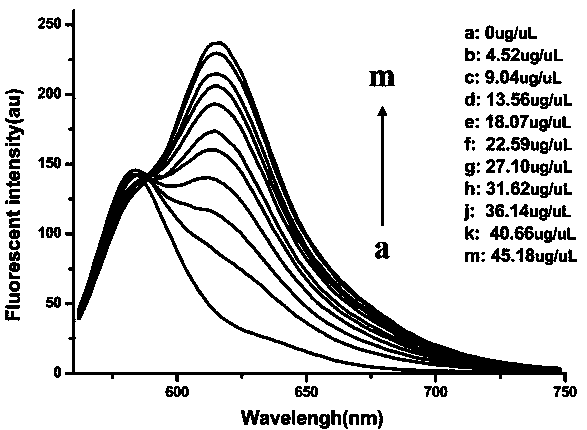 A method for rapid exosome quantification using fluorescence ratios