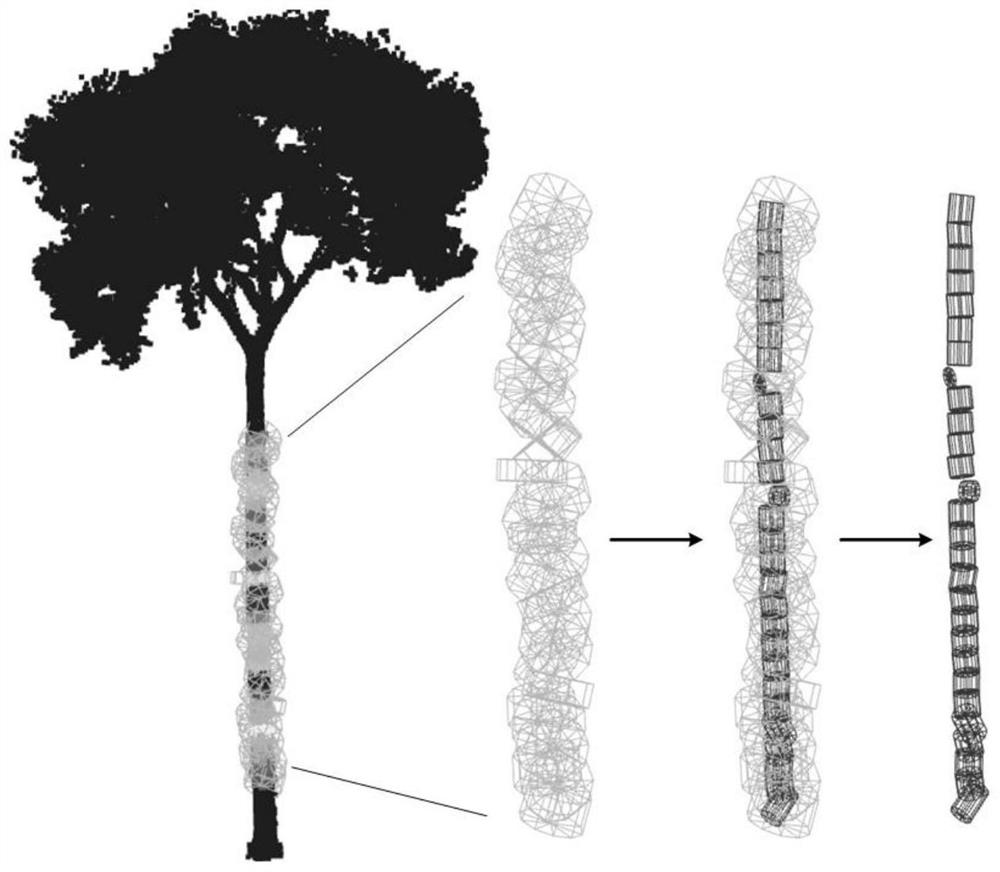Low-cost tree structure automatic reconstruction method for lossless estimation of standing wood volume