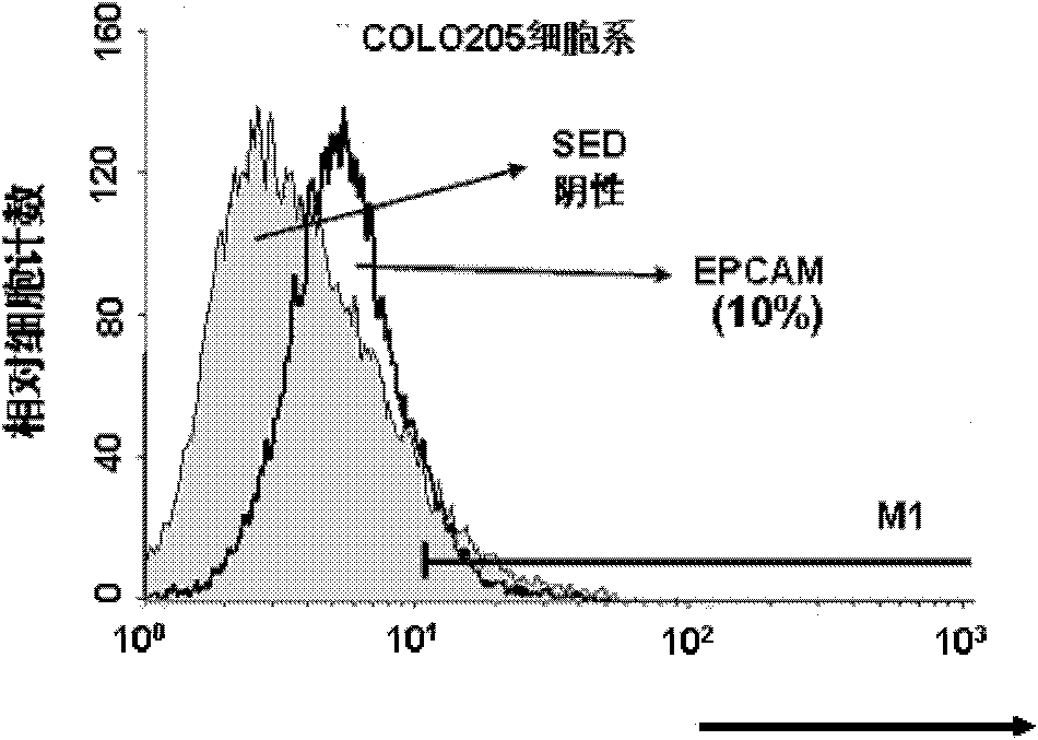 Light chain and heavy chain variable region of FMU-EPCAM-2D7 monoclonal antibody