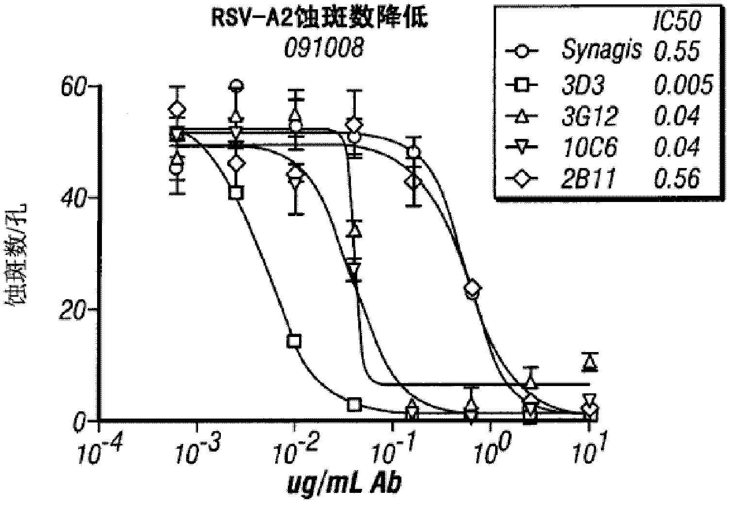 Anti-RSV (respiratory syncytial virus) human monoclonal antibody, and its preparation method