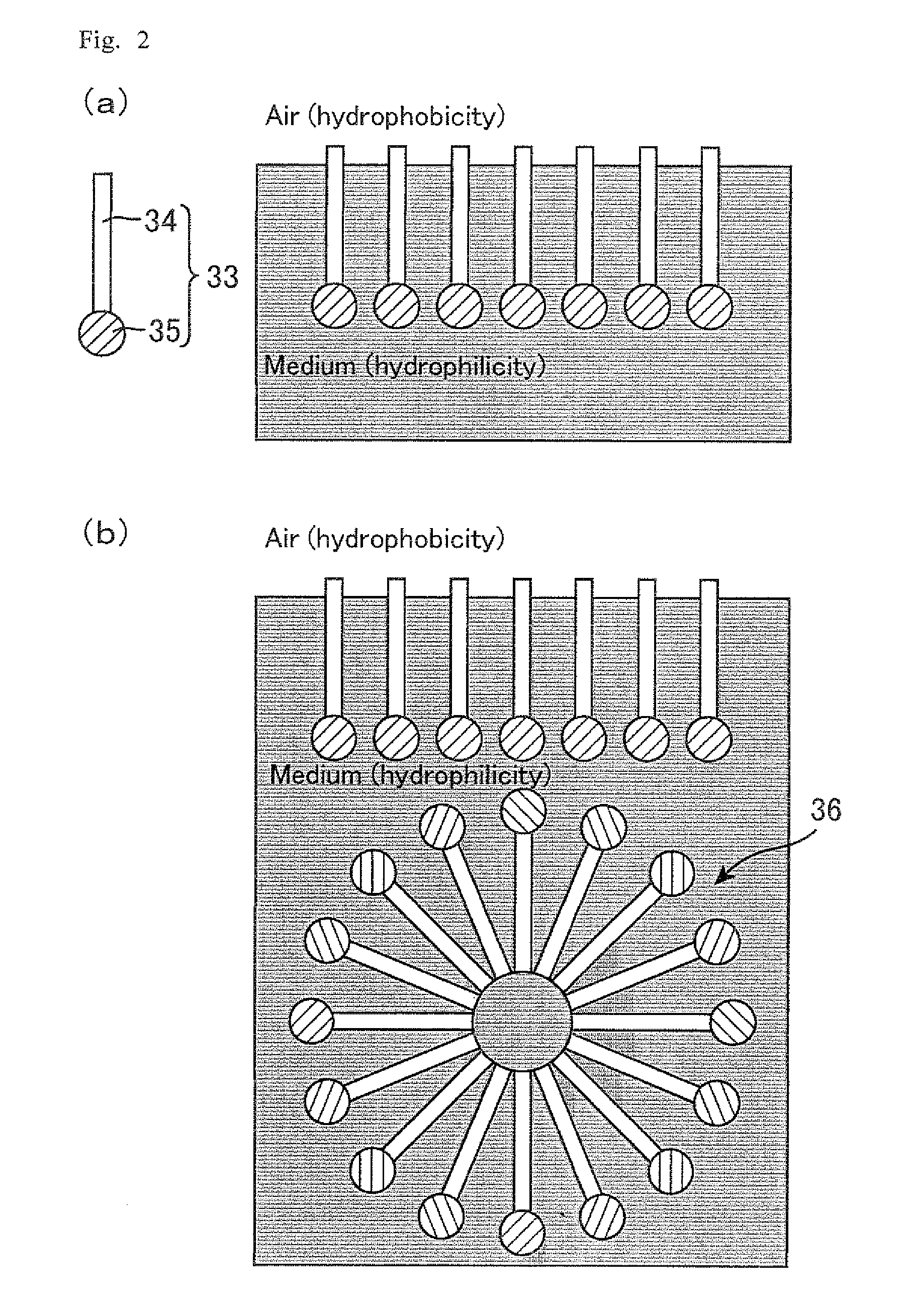 Composition for forming liquid crystal alignment film and liquid crystal display device