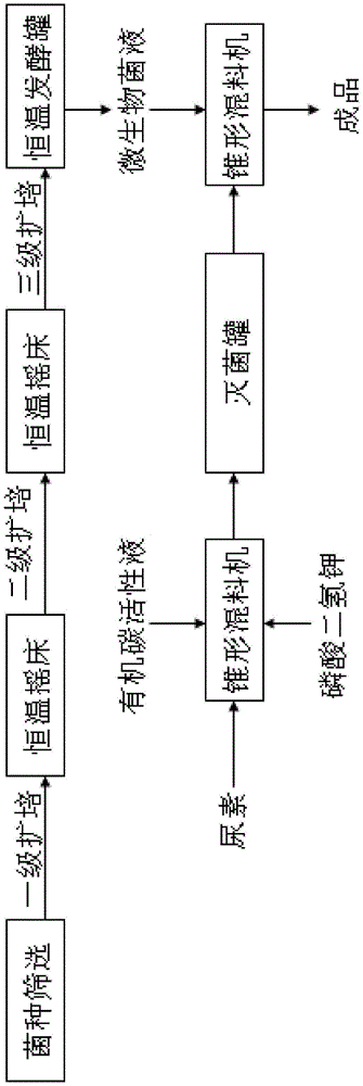 Agricultural liquid microbial preparation containing micromolecular water-soluble organic carbon and preparation method for agricultural liquid microbial preparation