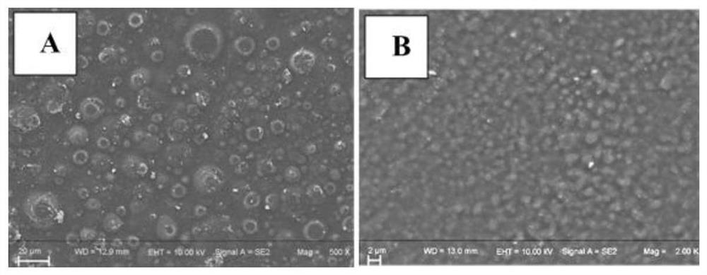 Friction layer material of triboelectric nanogenerator and its preparation method and application