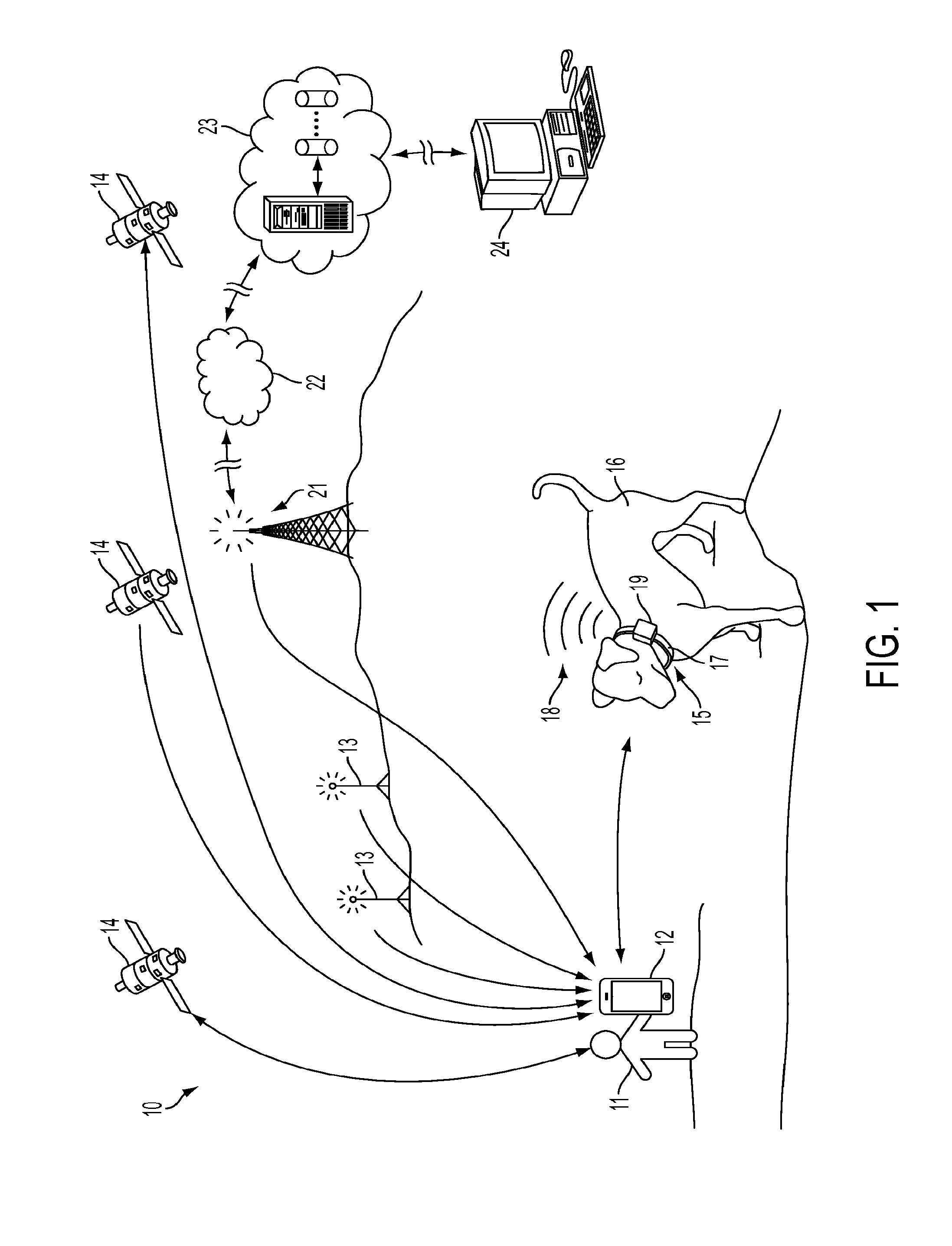 System and method for remote guidance of an animal to and from a target destination