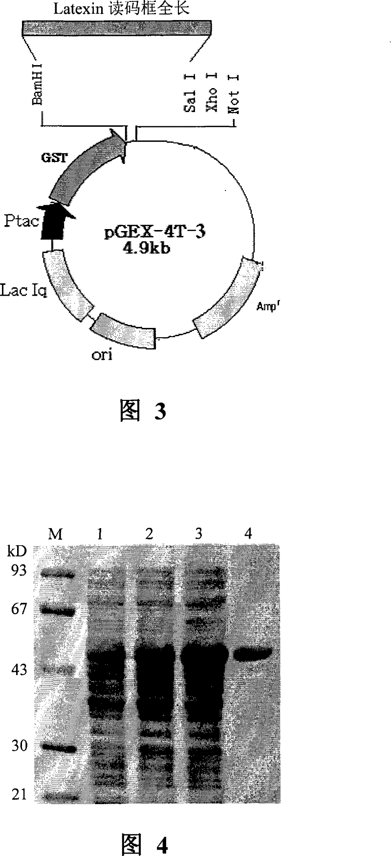 Monoclonal antibody against human carboxypeptidase a inhibitor latexin and its application