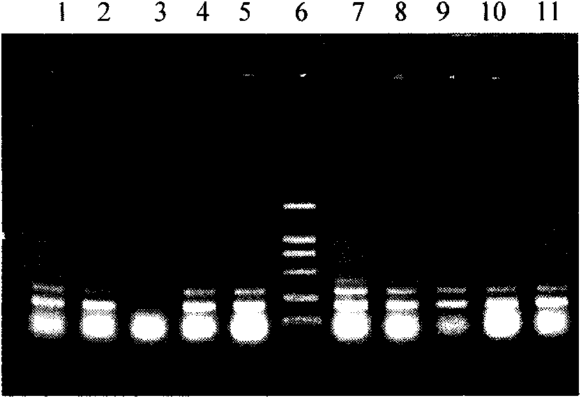 Preparation of new apolipoprotein C-I