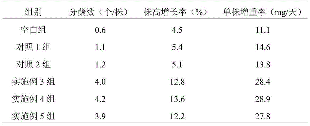 Illumination management method used for promoting growth of air plants and combined with magnesium fertilizer applying