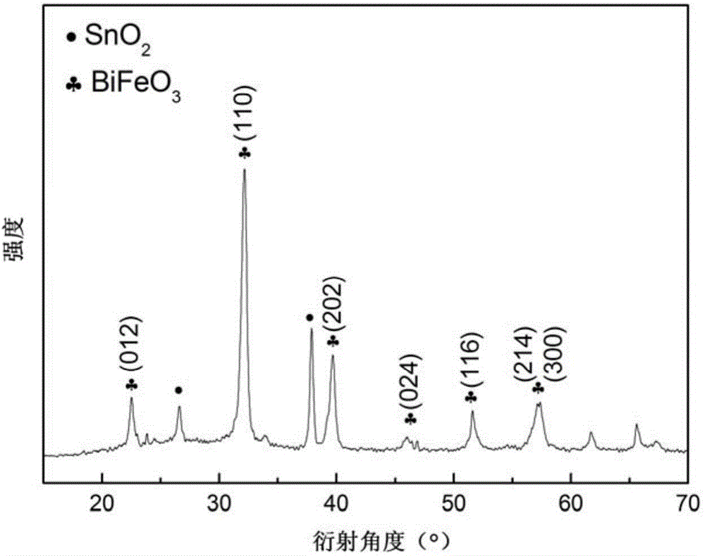 Bi0.92Ho0.08Fe0.97Mn0.03O3-Zn1-xNixFe2O4 multiferroic composite film and preparation method thereof