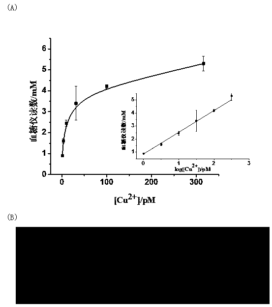 Portable copper ion concentration detection method based on click chemistry