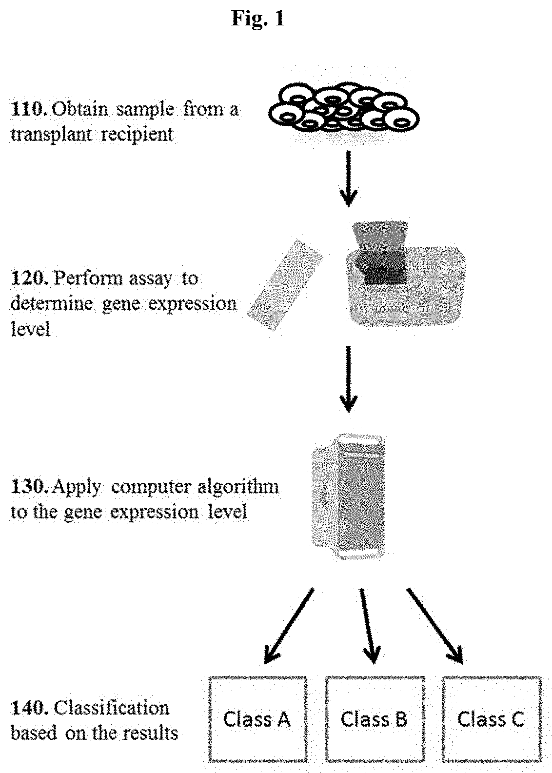 Molecular Signatures for Distinguishing Liver Transplant Rejections or Injuries