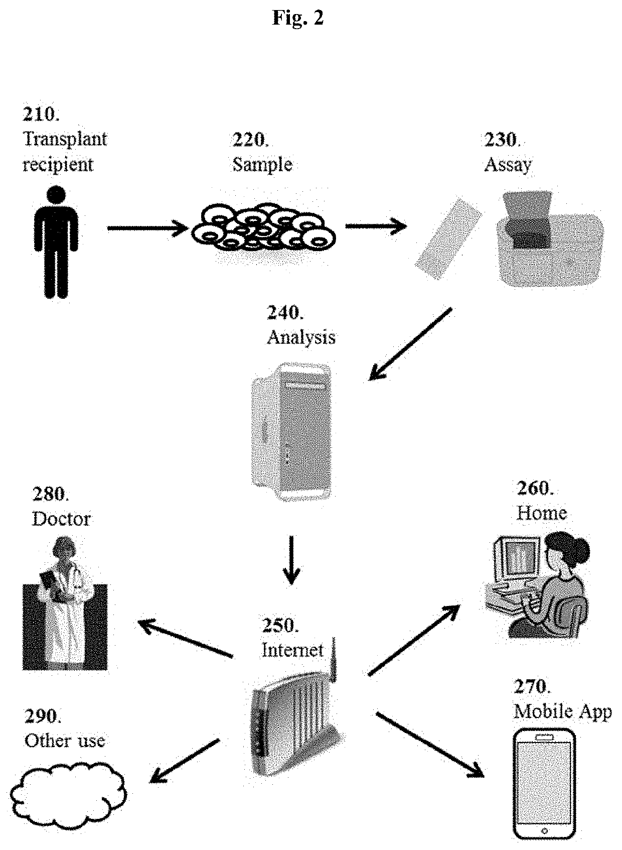 Molecular Signatures for Distinguishing Liver Transplant Rejections or Injuries