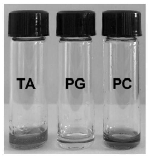 Preparation and use method of polyphenol-polyethylene glycol-based eutectic adhesive
