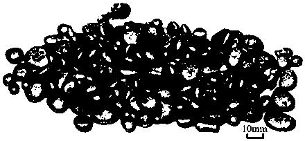 Liquid alloy dry granulation and methane steam reforming waste heat recovery device and method