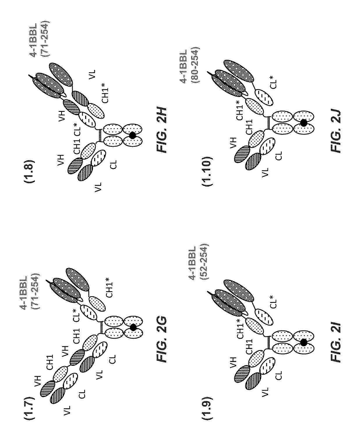 Tumor necrosis factor (TNF) family ligand trimer-containing antigen-binding molecules
