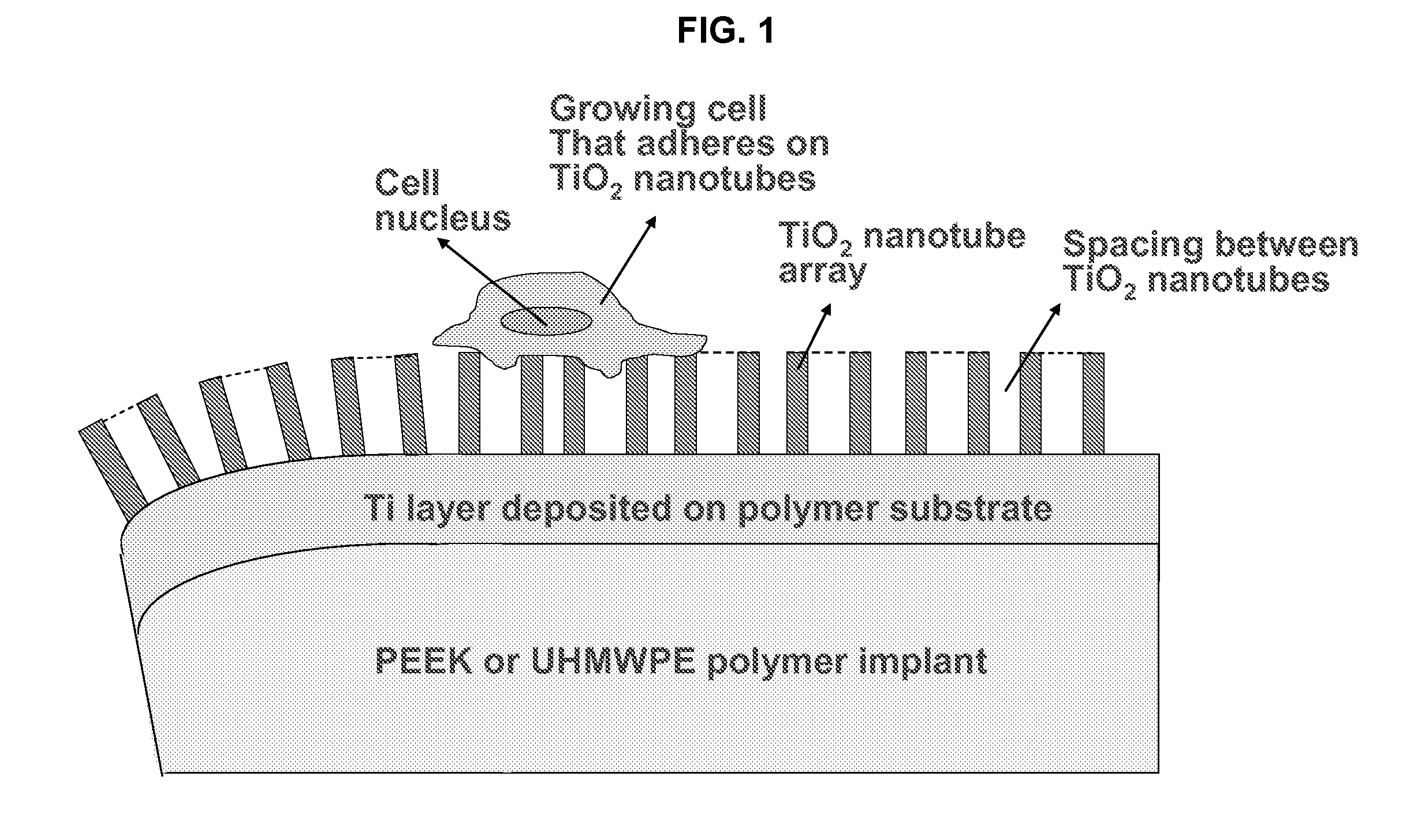 Inorganically surface-modified polymers and methods for making and using them