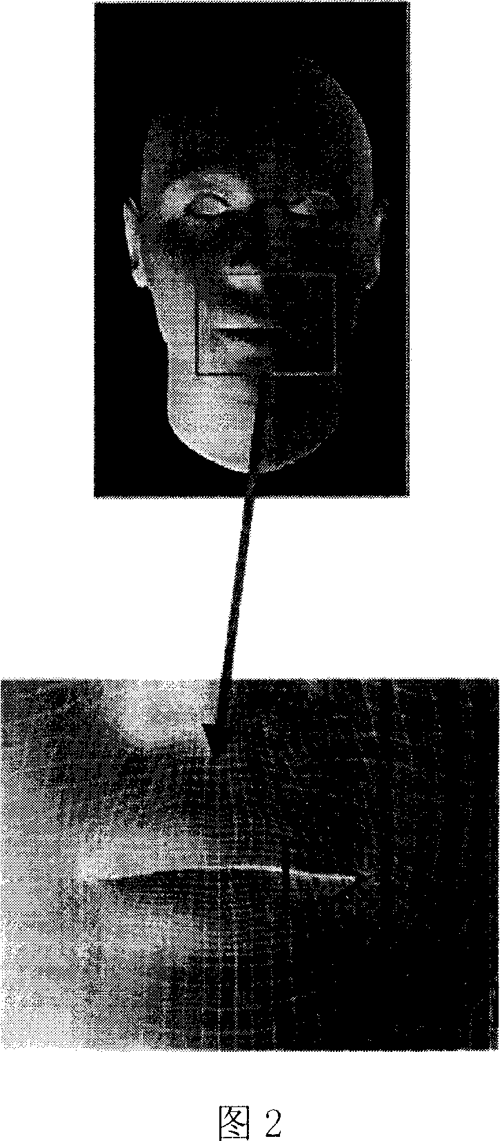 Network topology model construction based three-dimensional human face cartoon making method