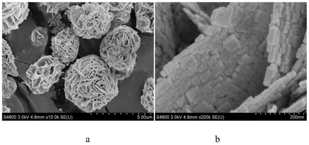 A kind of in-bi2wo6 photocatalyst with low electron-hole recombination rate and preparation method thereof