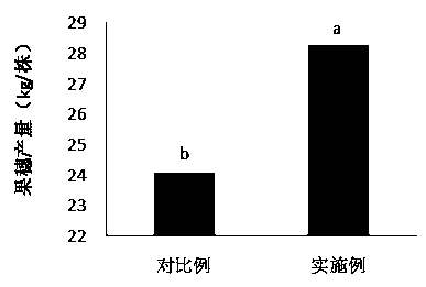 Synchronous nutrition fertilizers, preparation methods thereof and applications thereof