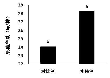 Synchronous nutrition fertilizers, preparation methods thereof and applications thereof