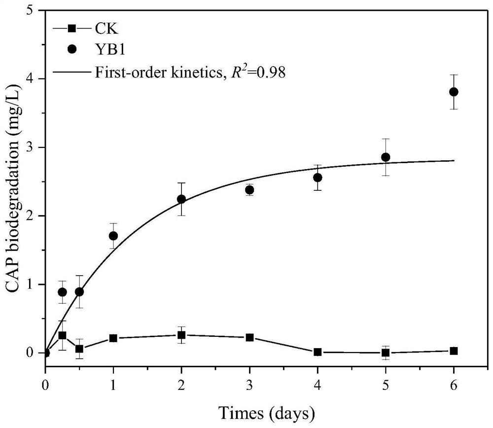 Klebsiella variicola and application thereof in removal of chloramphenicol and cadmium ions