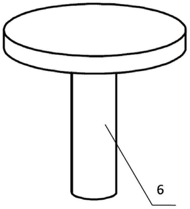 Freezing method of biological tissue sample and biological tissue freezing container