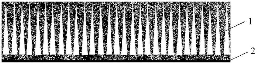 A kind of solid oxide fuel cell and its preparation method