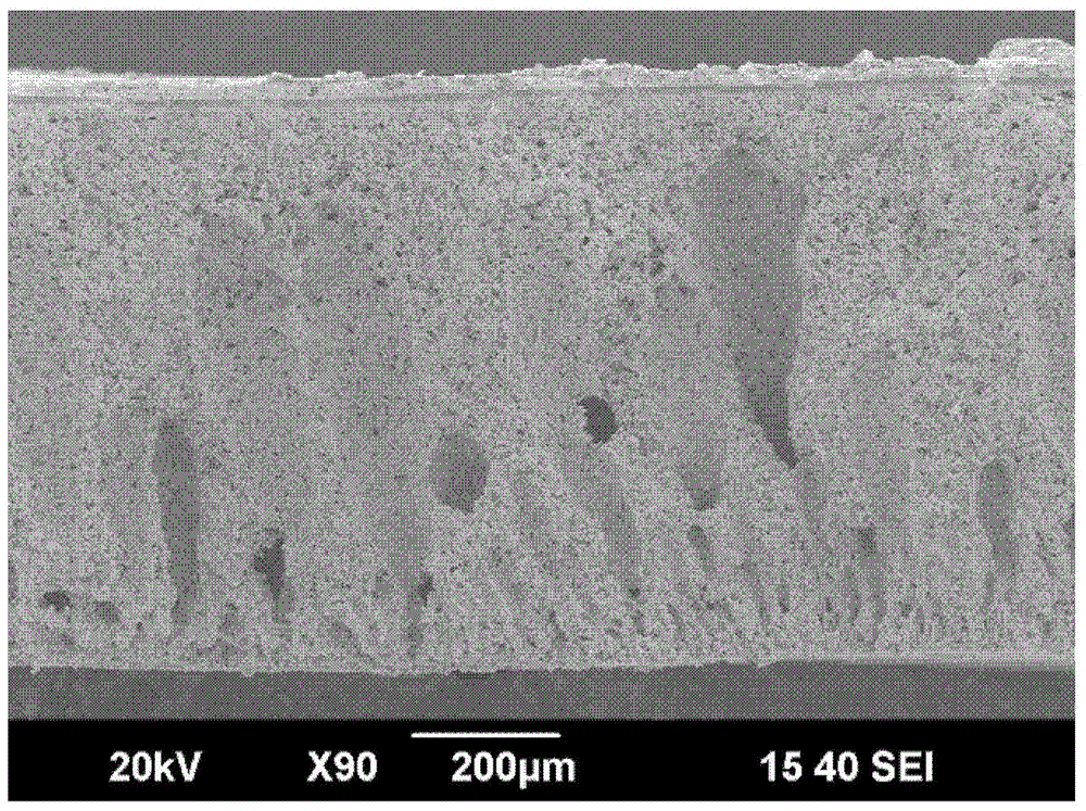 A kind of solid oxide fuel cell and its preparation method