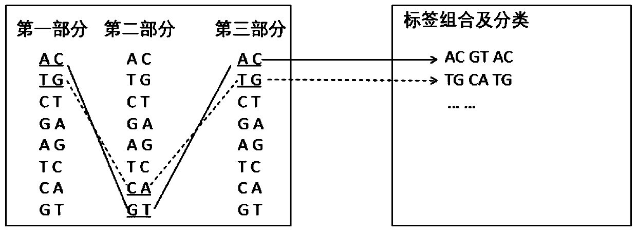 Combination tag, combination tag joint, and application ofcombination tagand combination tag joint